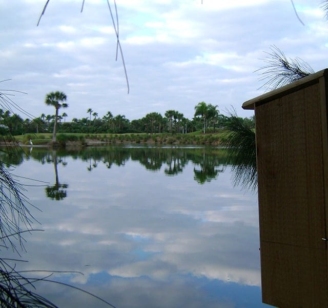 Special Audubon-approved Bird Box at Orchid Island Golf and Beach Club, overlooking a lake.