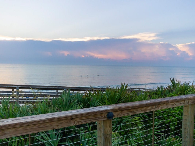 Birds flying near the ocean at dusk in front of Orchid Island's Beach Club