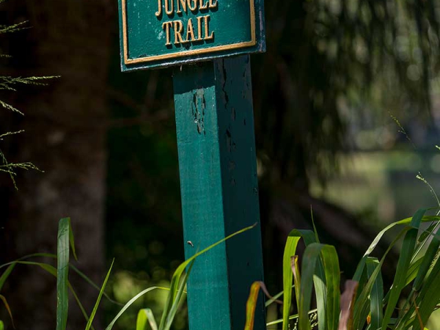 Jungle Trail Sign located in Orchid Island Golf &amp; Beach Club in Vero Beach Fl