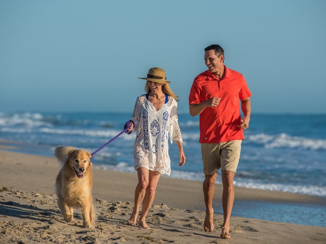 Couple and dog walking on beach at Orchid Island