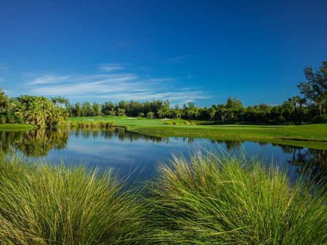 Lake and grasses showing Orchid Island Golf Course Natural Beauty