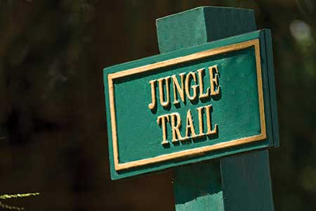 Orchid Island Jungle Trail signage