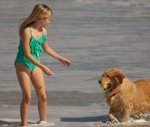 Young girl playing with a golden retriever in the ocean waves at Orchid Island Country Club in Vero Beach, FL
