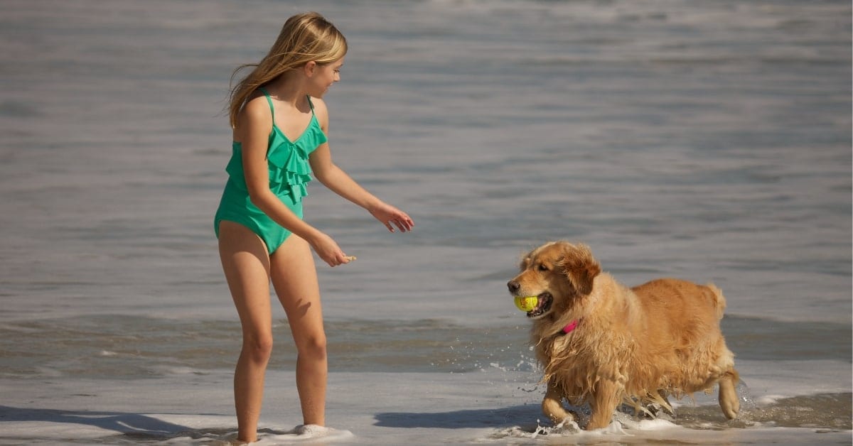 Young girl playing with a golden retriever in the ocean waves at Orchid Island Country Club in Vero Beach, FL