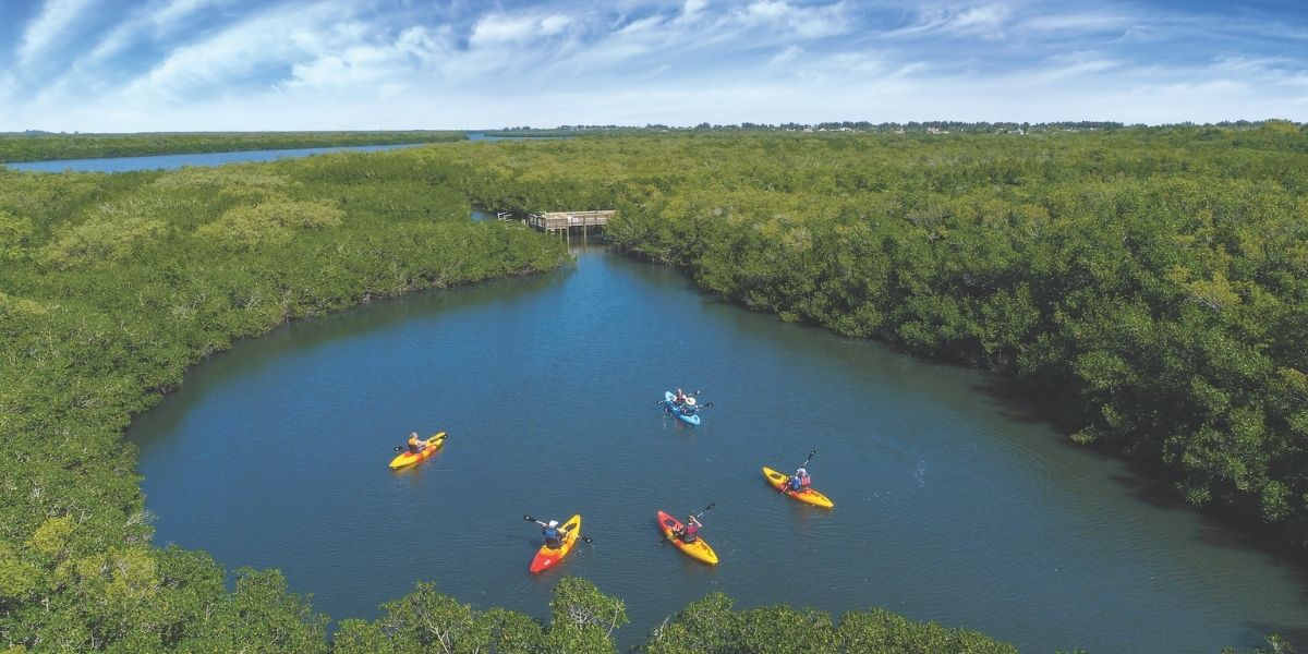 aerial of people kayaking the river at orchid island