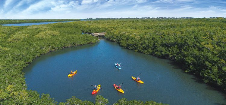 people kayaking the river of this florida destination