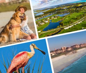 Unlock the Secret to Living Life on Purpose in this Florida Golf & Beach Haven news thumbnail