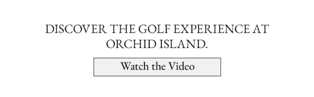 Orchid Island Home Page Gold Video Banner
