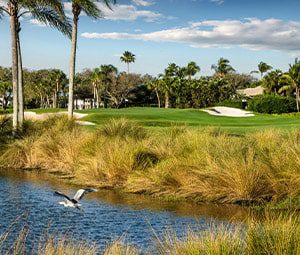 Why Are Golf & Beach Lovers Choosing Vero Beach, Florida? news thumbnail