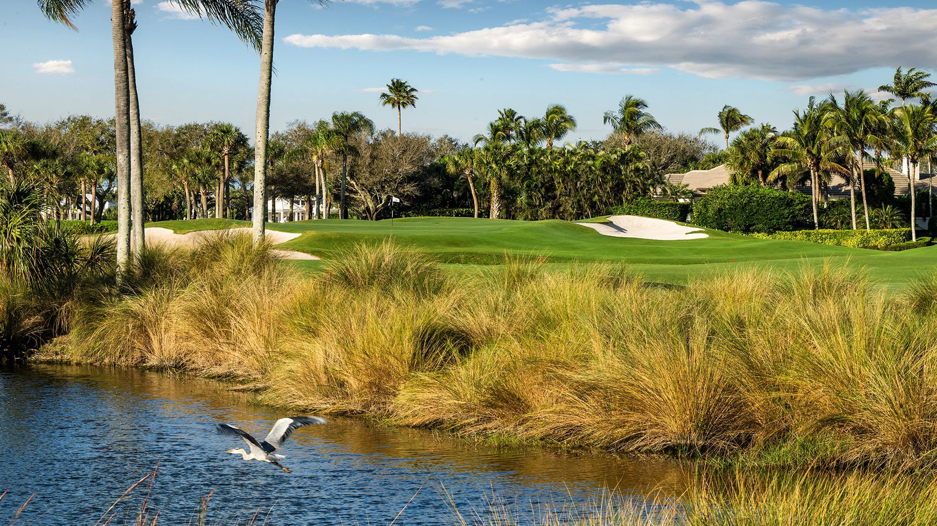 Orchid Island Golf Course with Bird