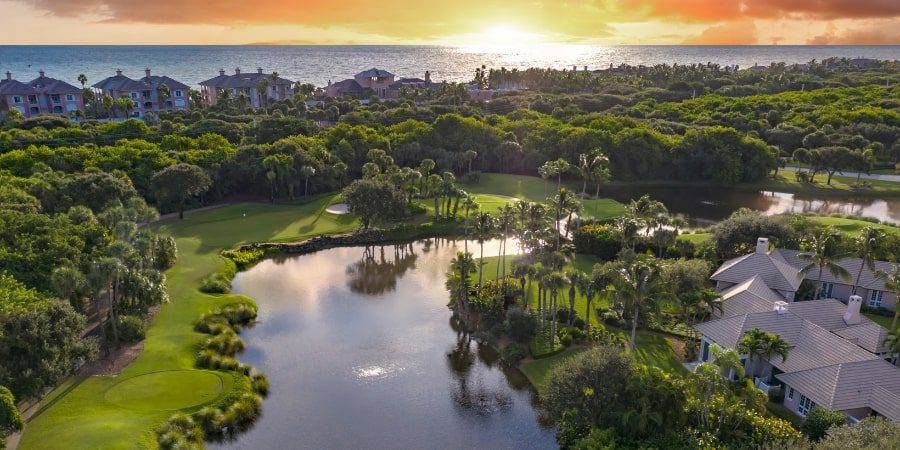 aerial of the orchid island community