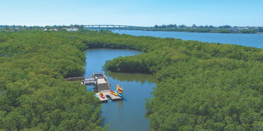 Kayaking in St Lucie River