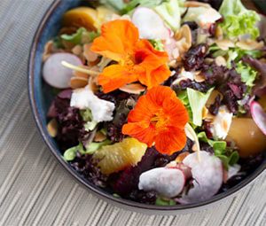 An Insider’s Look at Chef-Inspired Coastal Cuisine<br>at The Orchid Island Club news thumbnail