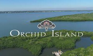 Palm-lined stone driveway leading to a large tropical-style home at sunset.