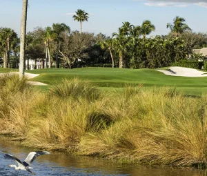 Golf course at Orchid Island Club in Vero Beach with fairways, water feature, palm trees, and native grasses.