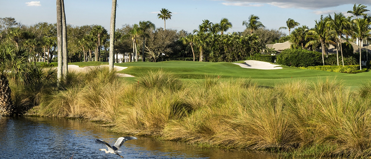 Golf course at Orchid Island Club in Vero Beach with fairways, water feature, palm trees, and native grasses.